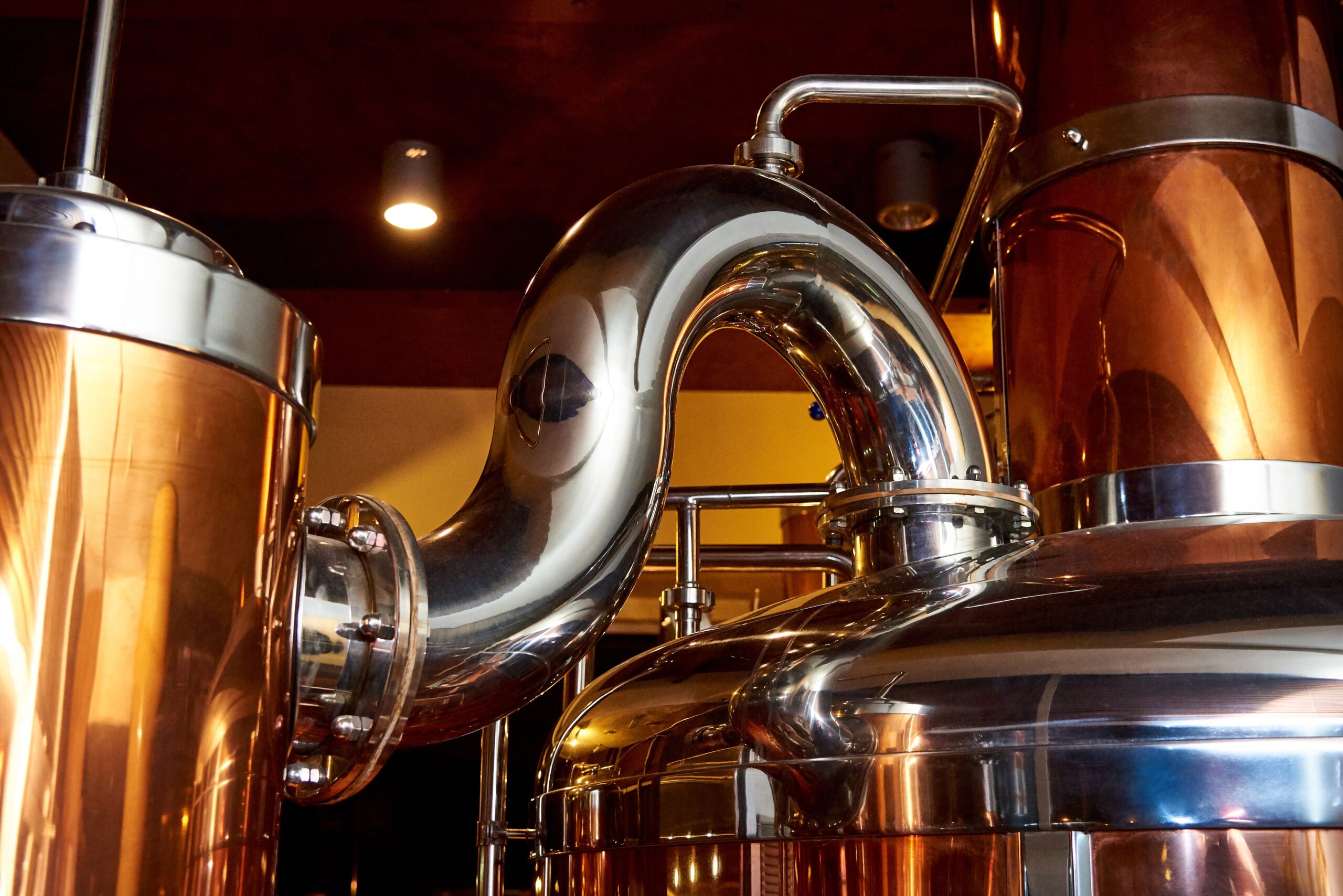 Buying an Apartment? Key Things to Watch Out For Before You Commit