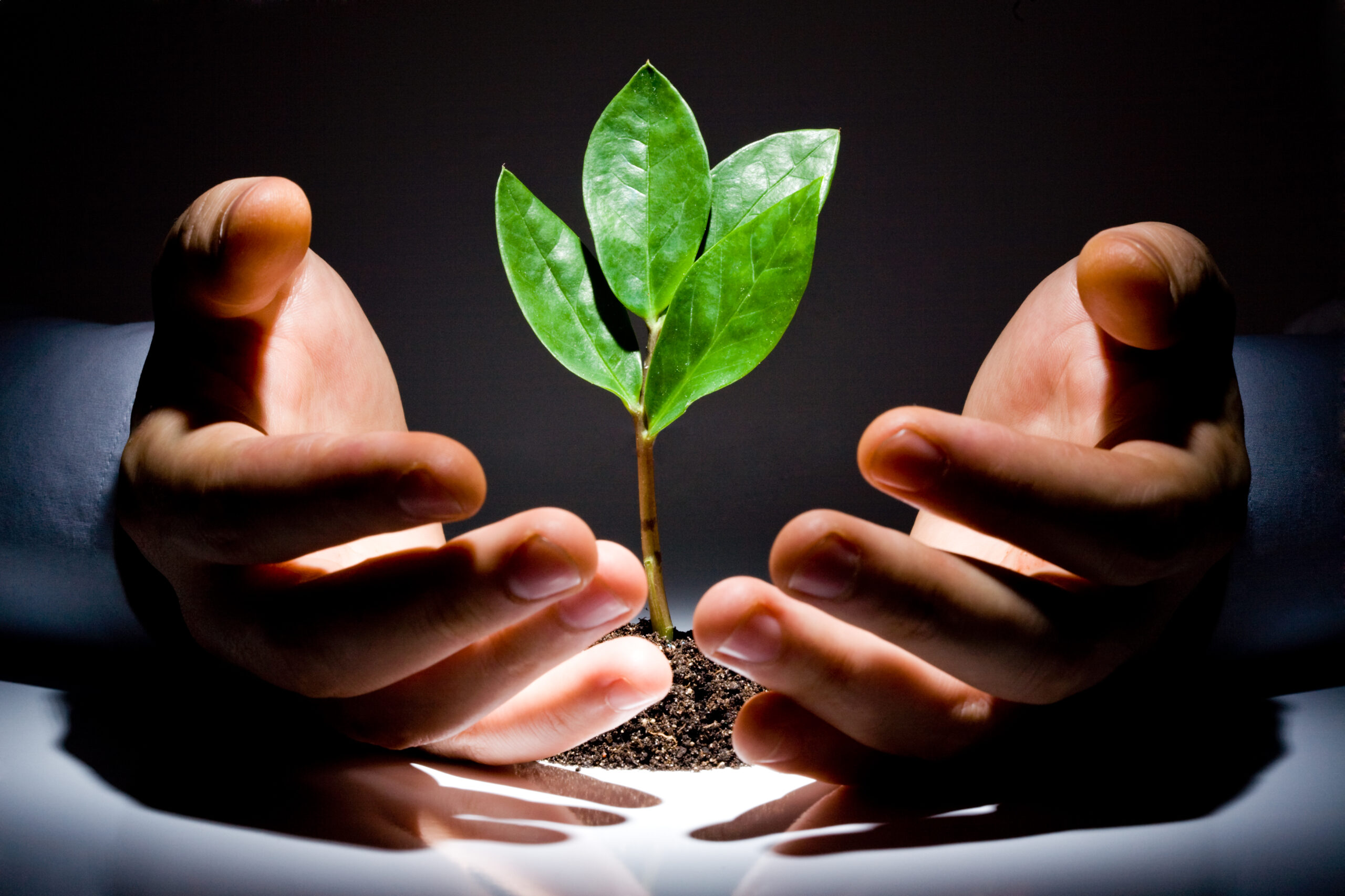 Do You Really Need a 20% Deposit to Buy a Home?