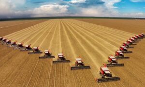 After Settlement: The Ongoing Costs First Home Buyers Often Forget