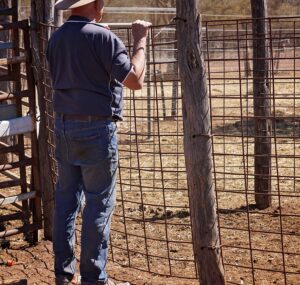 Top 10 Things a Mortgage Broker Can Help You With