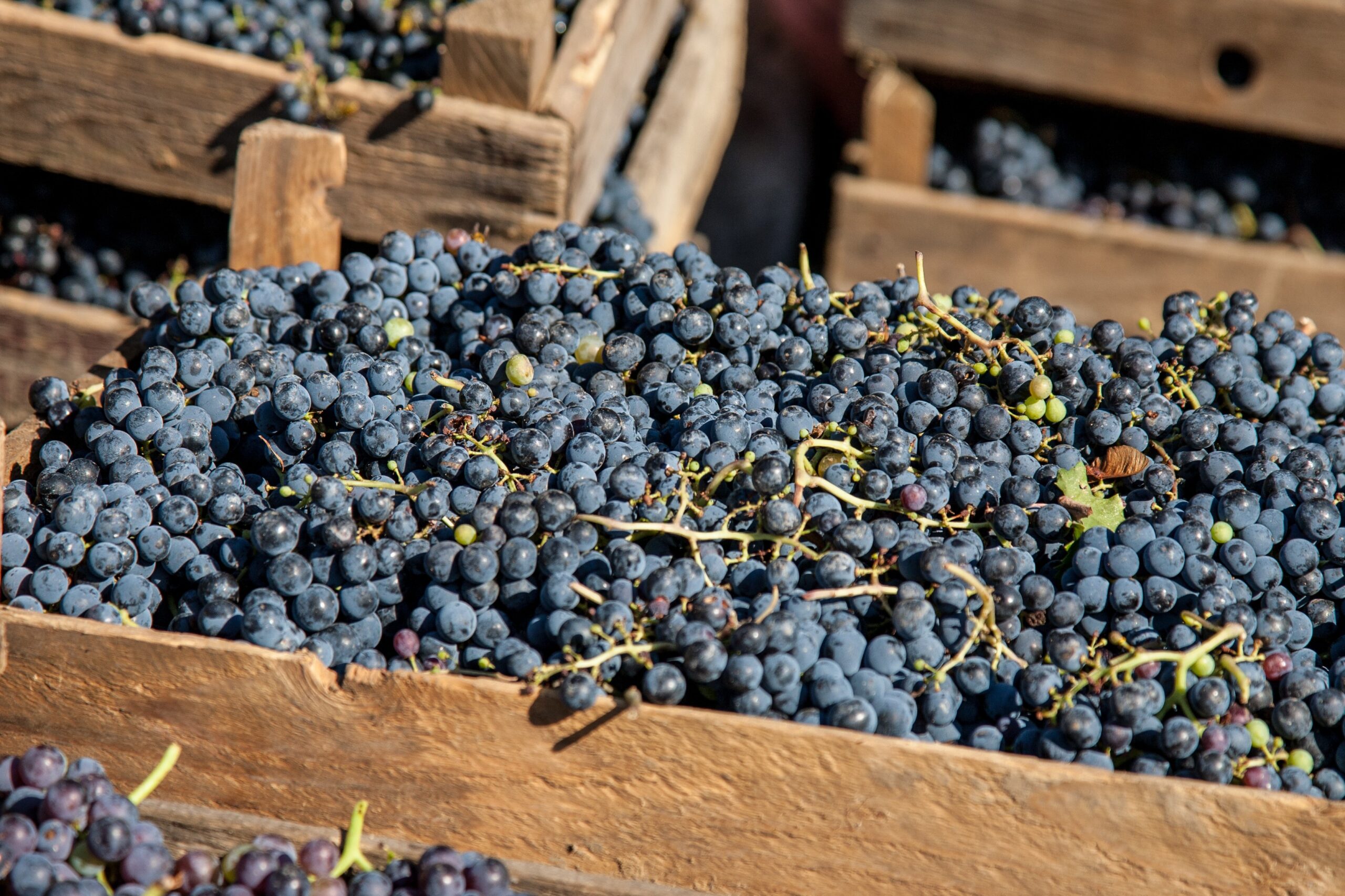 How a mortgage broker helps you