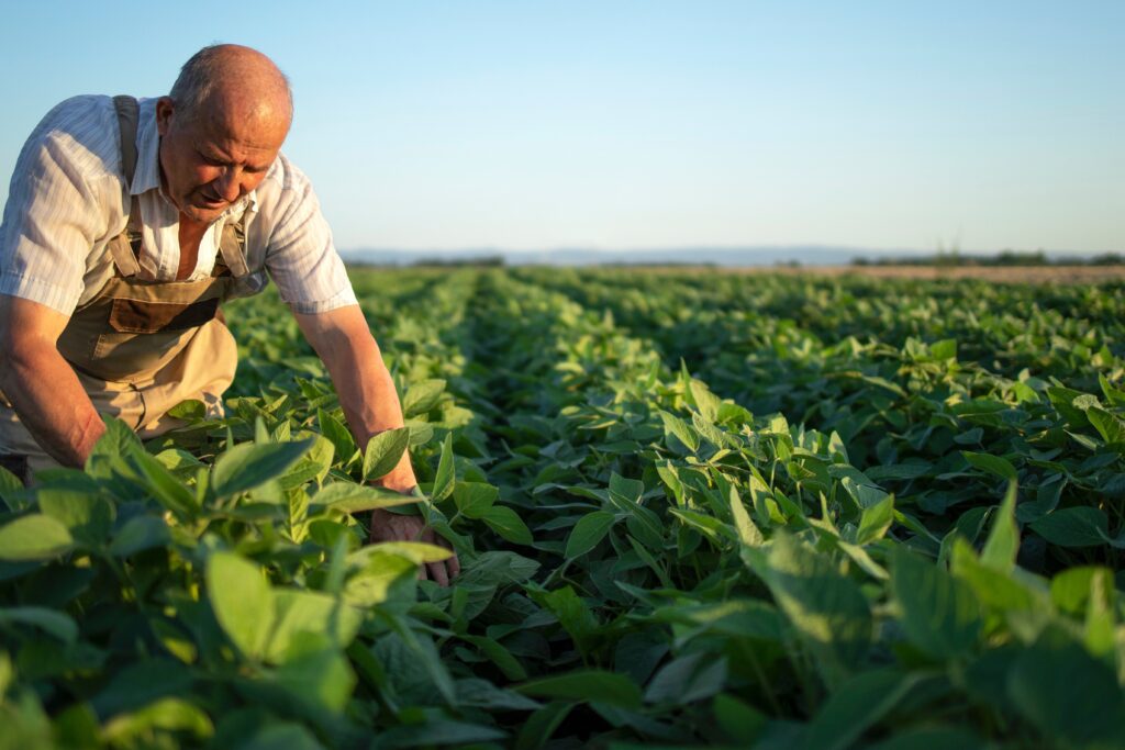 Negative Gearing Explained: Your Questions Answered