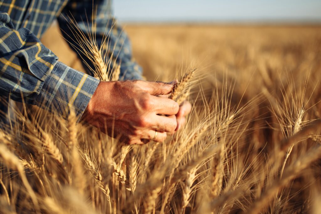 How Negative Gearing Works