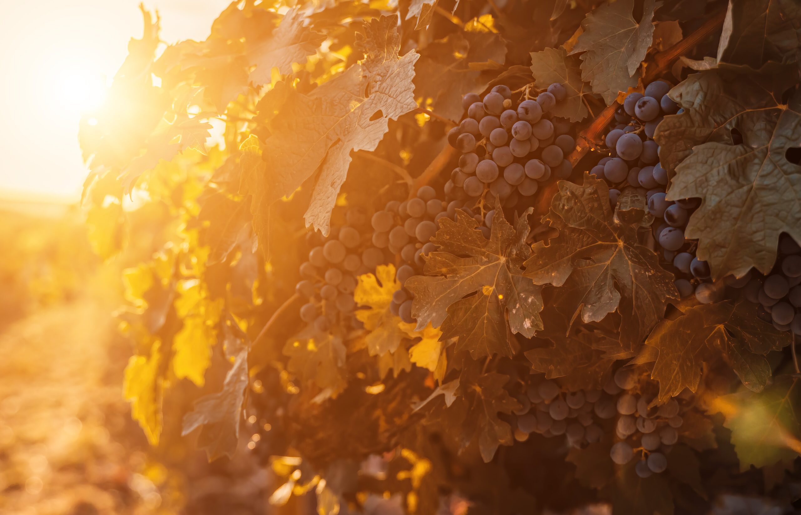 It Might Be Time to Change Your Home Loan