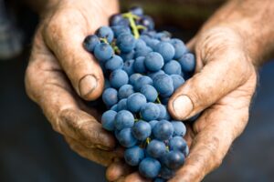 Fixed vs Variable Loans: 10 Questions to Ask Before You Decide