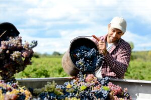 Is a Reverse Mortgage Right for Me?