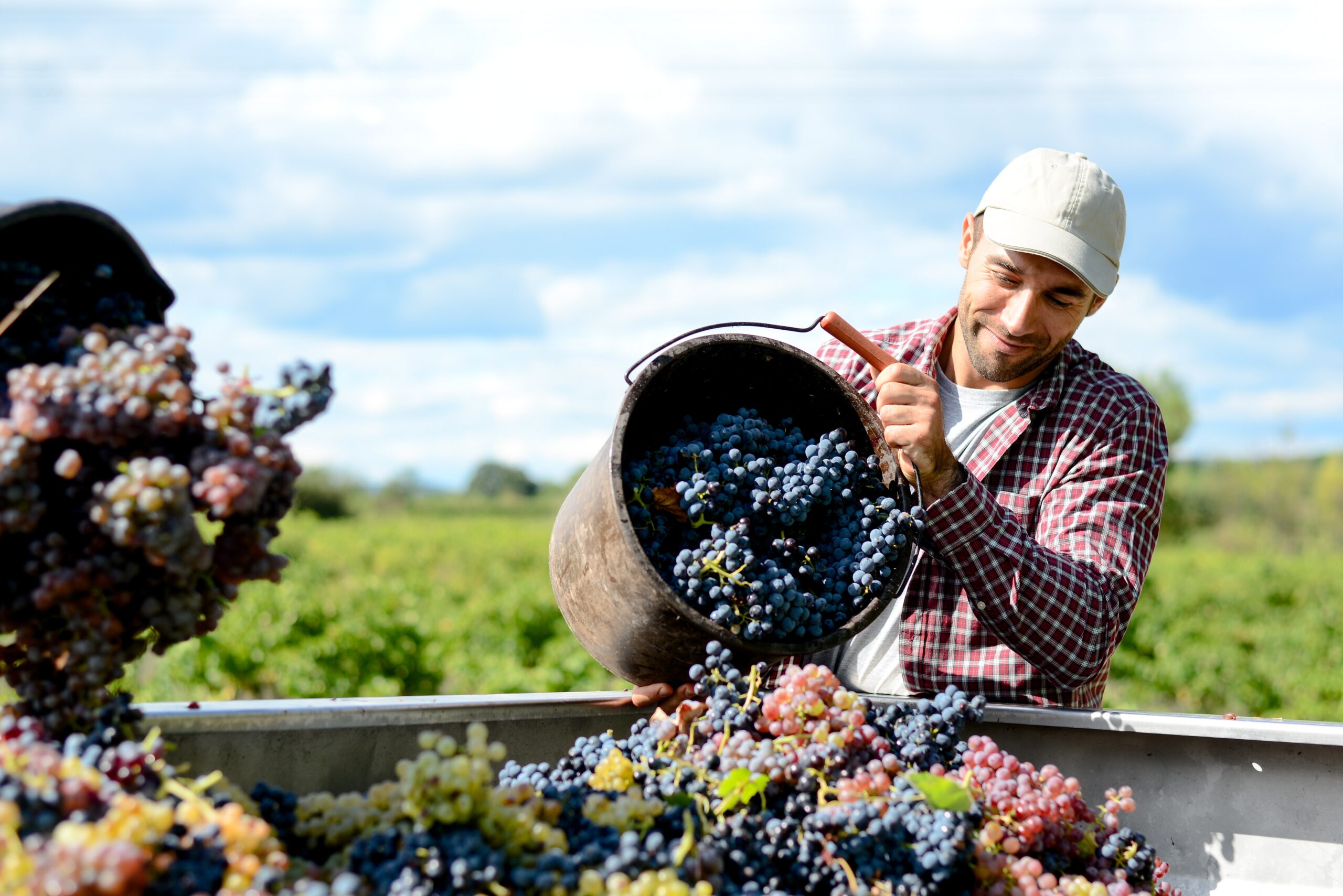 Is a Reverse Mortgage Right for Me?