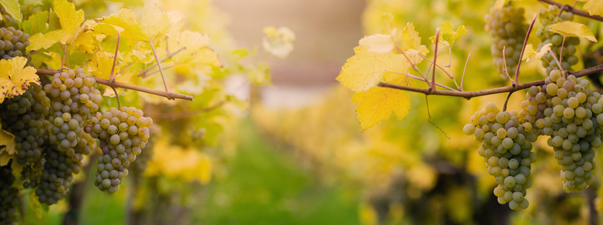 Top 10 Mistakes First Home Buyers Make When Buying an Apartment