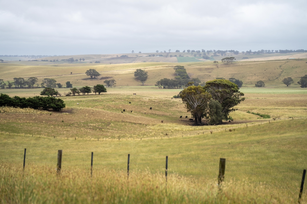 Refinancing After Separation or Divorce: How Australians Rebuild Financial Stability