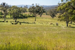 Drought Recovery Finance for Australian Farming Businesses