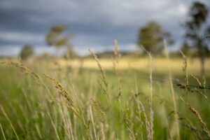 Refinancing for New Australian Citizens: Resetting Your Home Loan for Long-Term Success