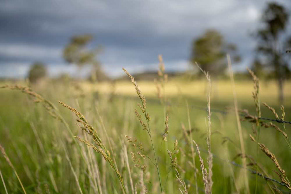 Refinancing for New Australian Citizens: Resetting Your Home Loan for Long-Term Success